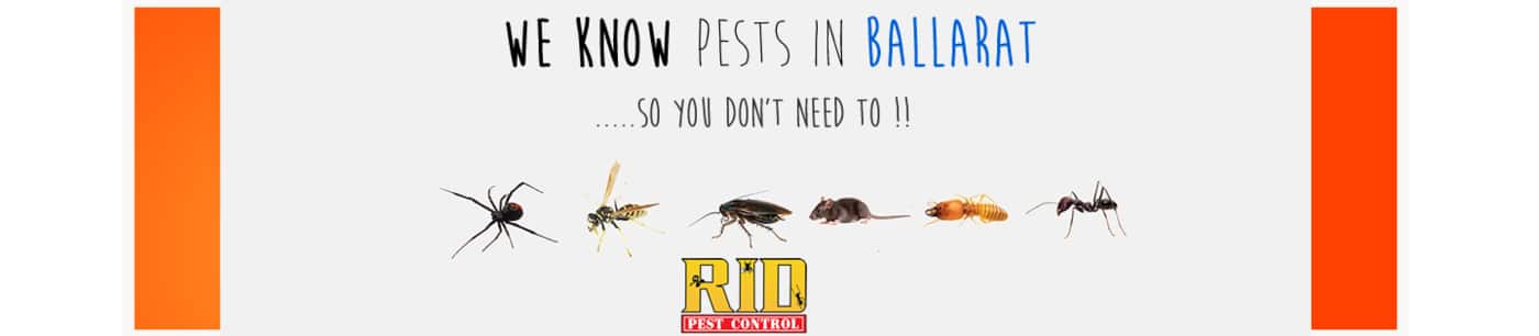 RID Pest Control - Logo