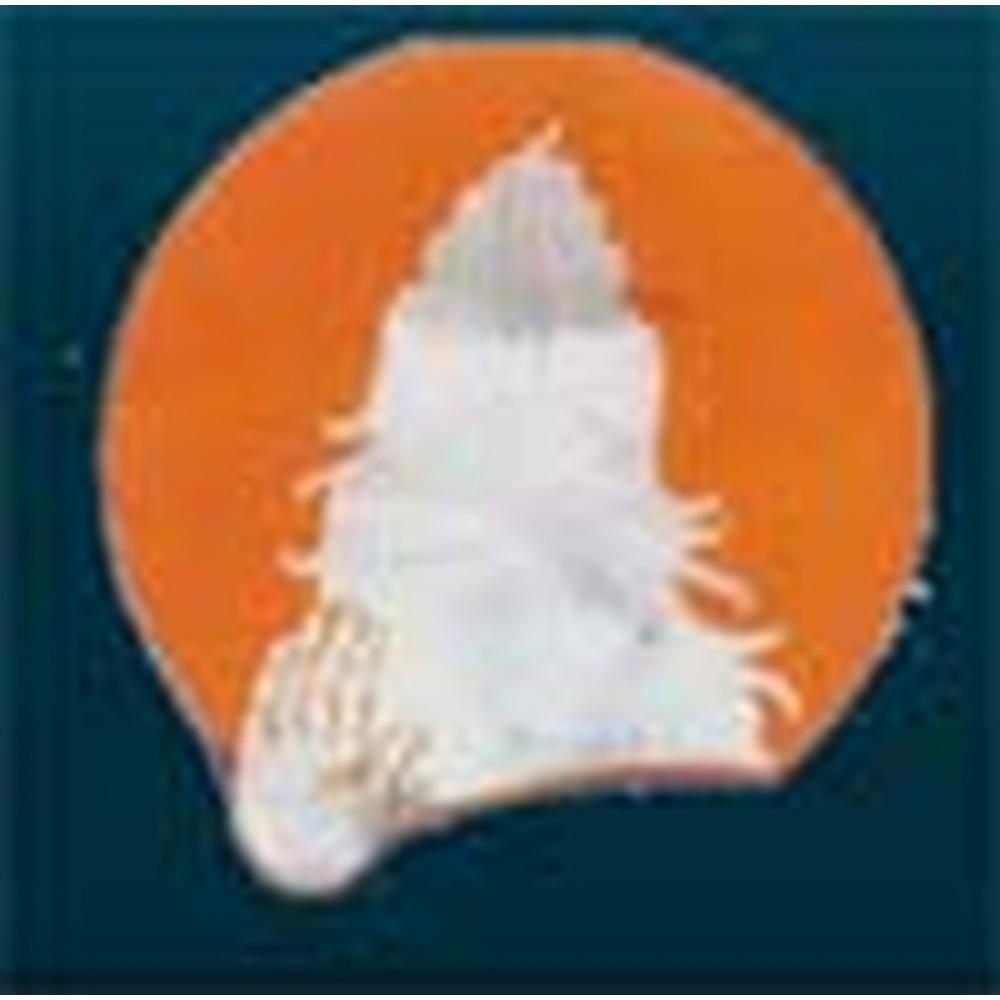 Rishi Degree College (RDC) - Logo