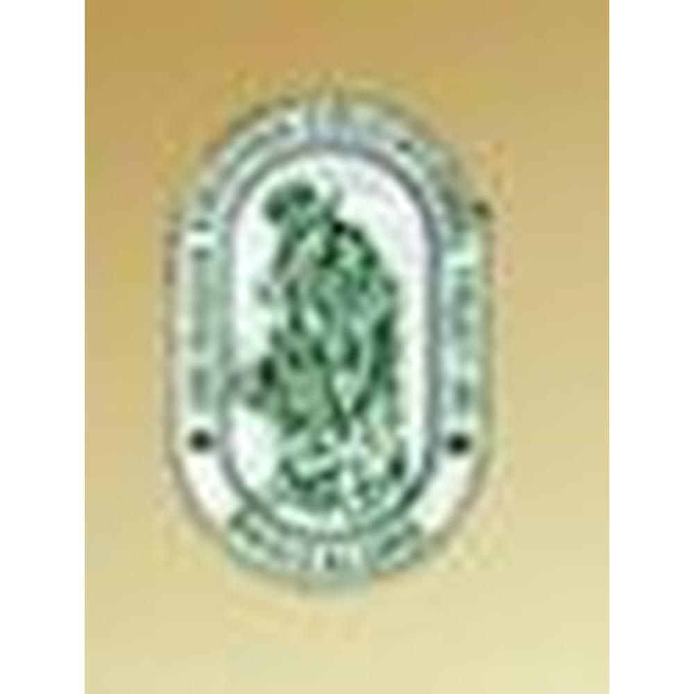 RK Institute of Management & Computer Science (RKIMCS) - Logo