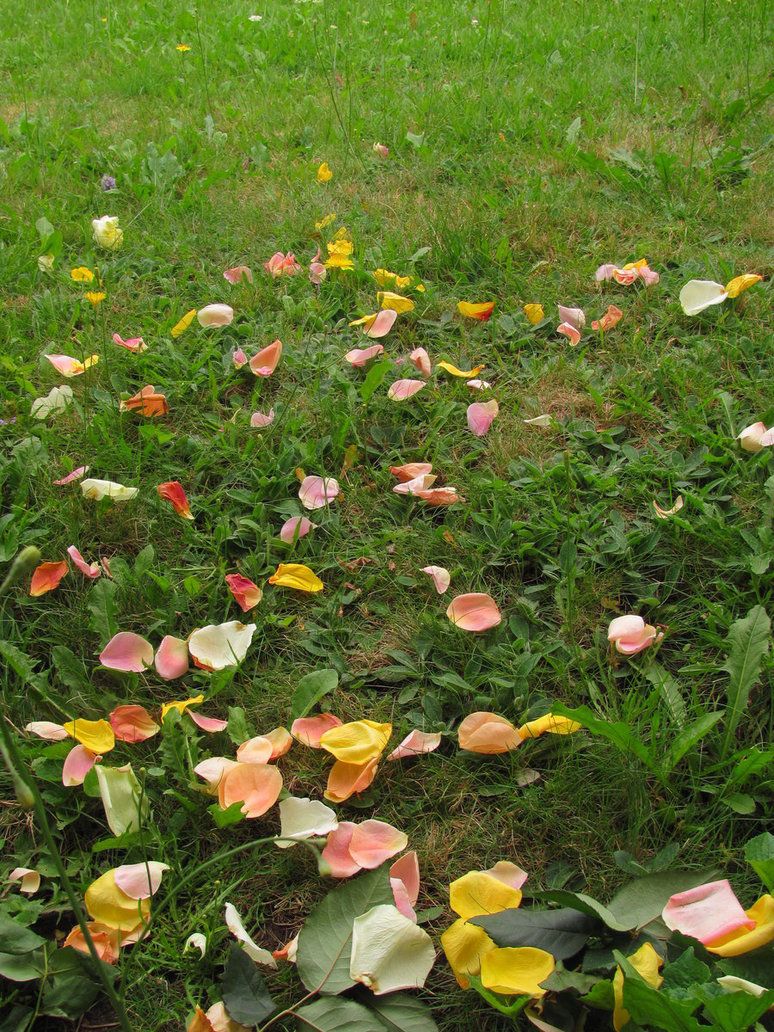Robert Burgess Lawn Care - Cover photo