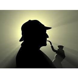 Rockhampton Private Investigator - Logo