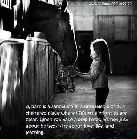 Rockin Horse Riding Academy - Logo