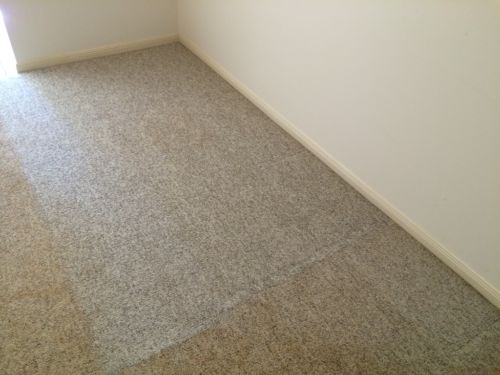 Rod Green Carpet Cleaning - Logo