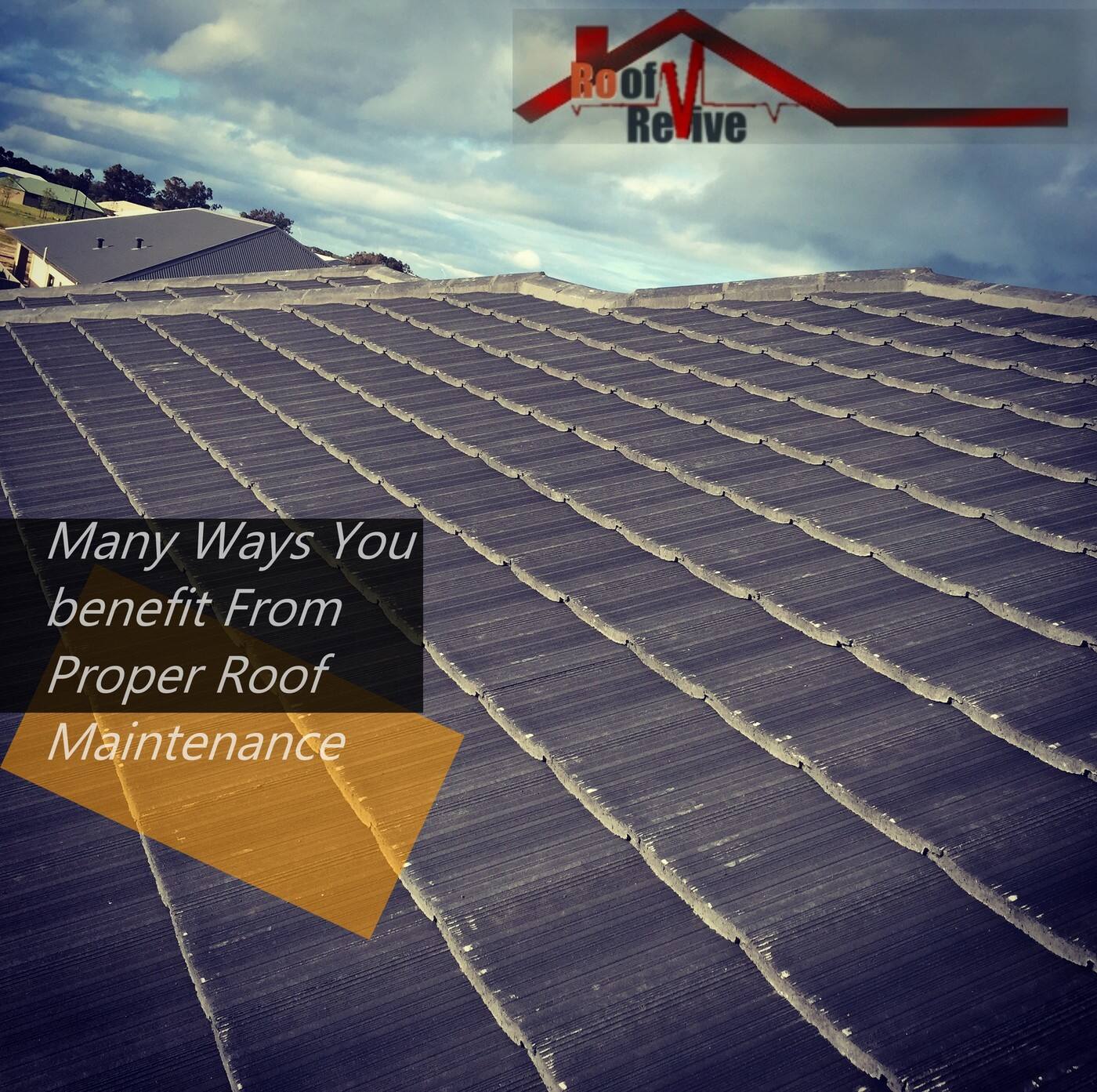 Roof Revive - Cover photo