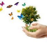 ROOTED WINGS Holistic Treatment Spa - Logo