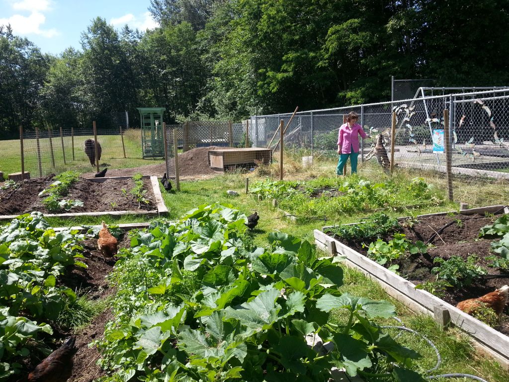 Roots &a; Wings Montessori School - Cover photo