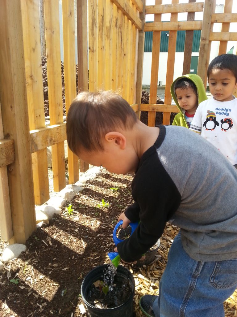 Roots &a; Wings Montessori - Logo