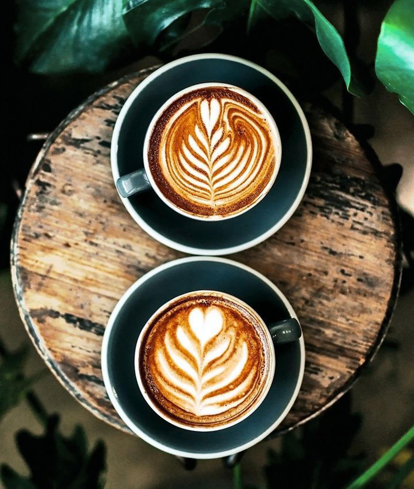ROOTS OF COFFEE - Logo