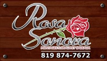 Rosa Sonora - Logo