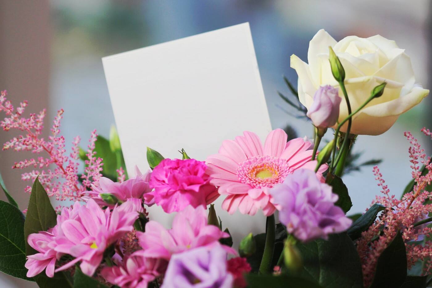 Roses & Blooms - Cover photo