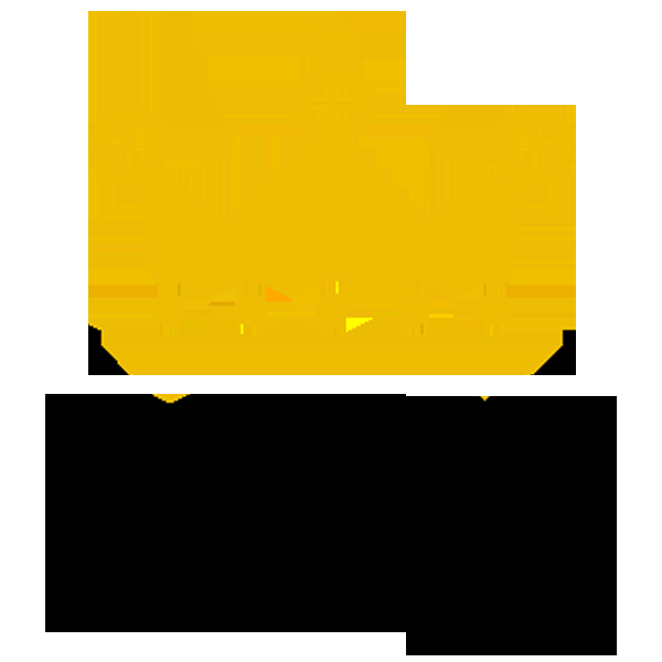 Royal Auto Group - Logo