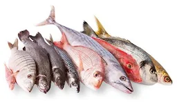 Royal Fish Center And Chicken Center - Cover photo