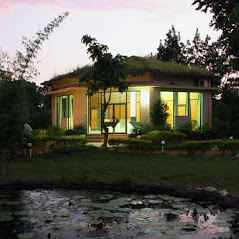 Royal Jungle Retreat - Cover photo