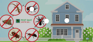 Royal Pest Control - Cover photo