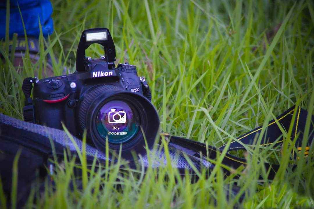 Roy Photoworks - Cover photo