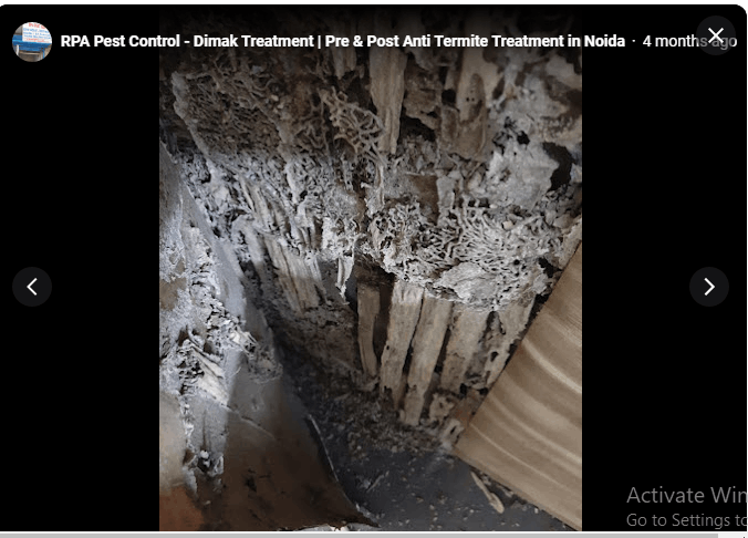 RPA Pest Control - Cover photo