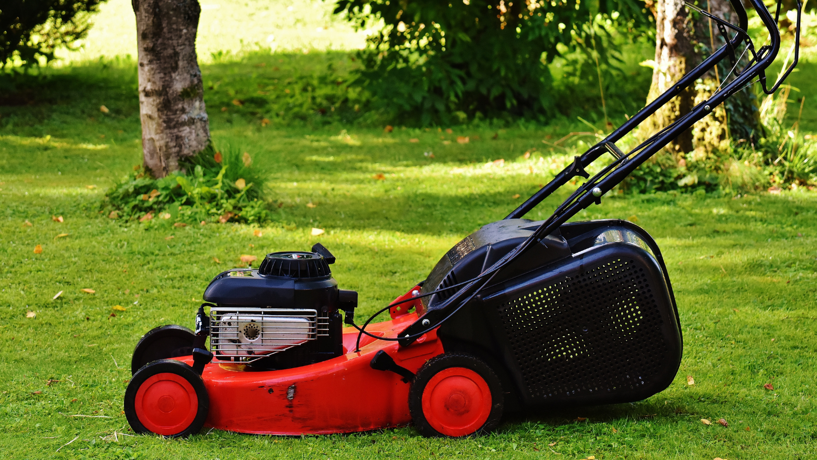 R&R Lawn and Garden Maintenance - Logo