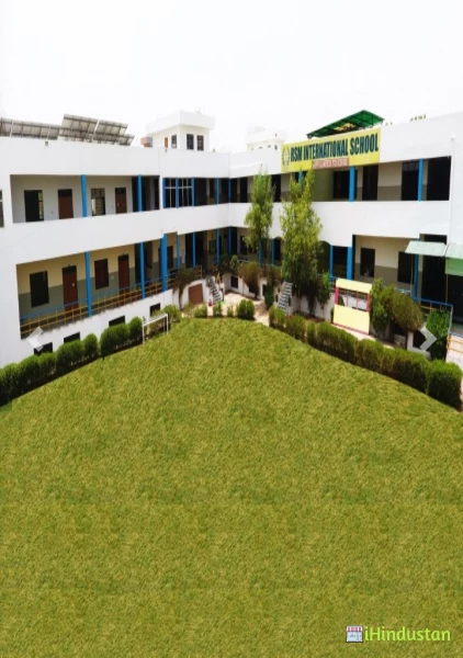 R.S.M International School - Logo
