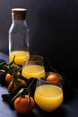 Rudra Juice & Shake - Logo