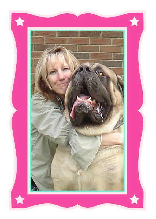 Ruffhouse Playcare For Dogs Inc - Logo