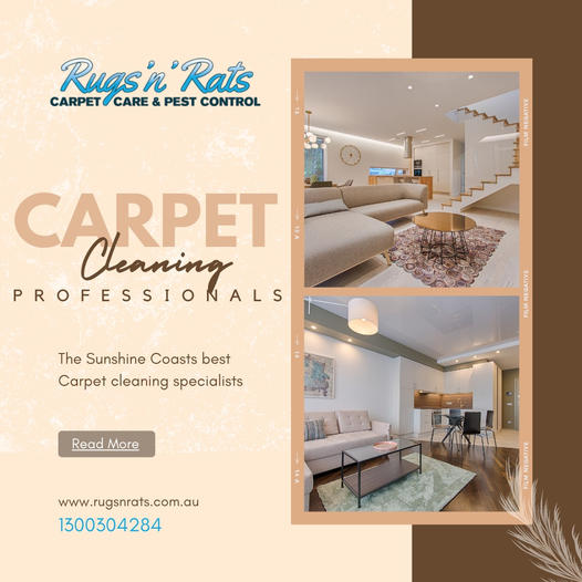Rugs 'N' Rats Carpet Care & Pest Control - Logo