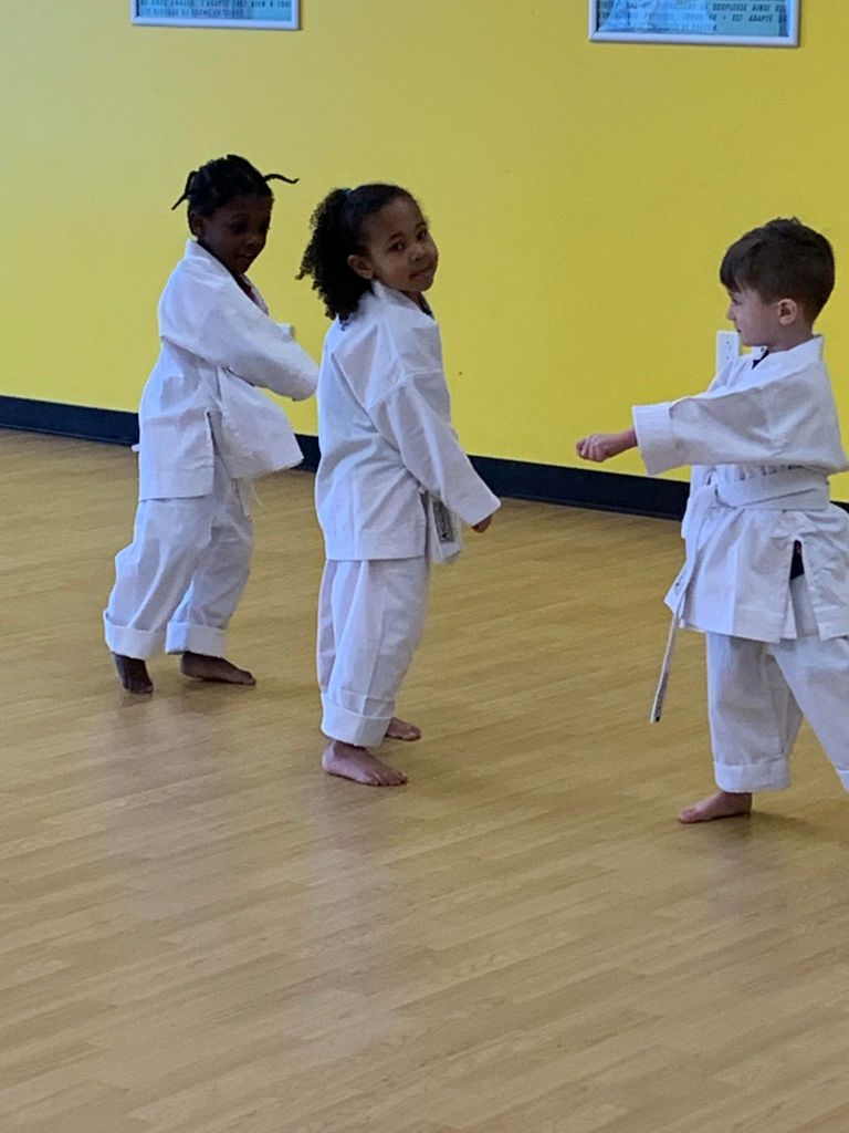 @*** Ryu Karaté Shotokan - Cover photo