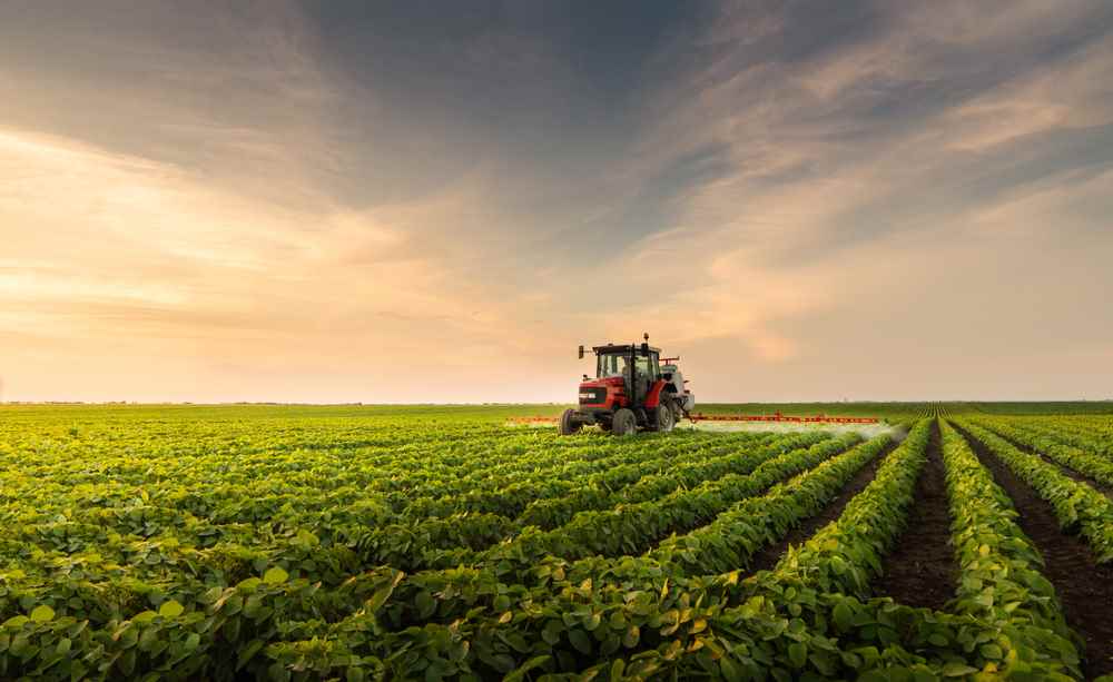 Saaj Agro Products - Cover photo