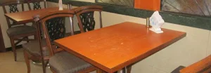 Sadhana Pure Veg - Logo