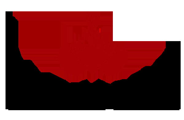S A Ecoline - Logo