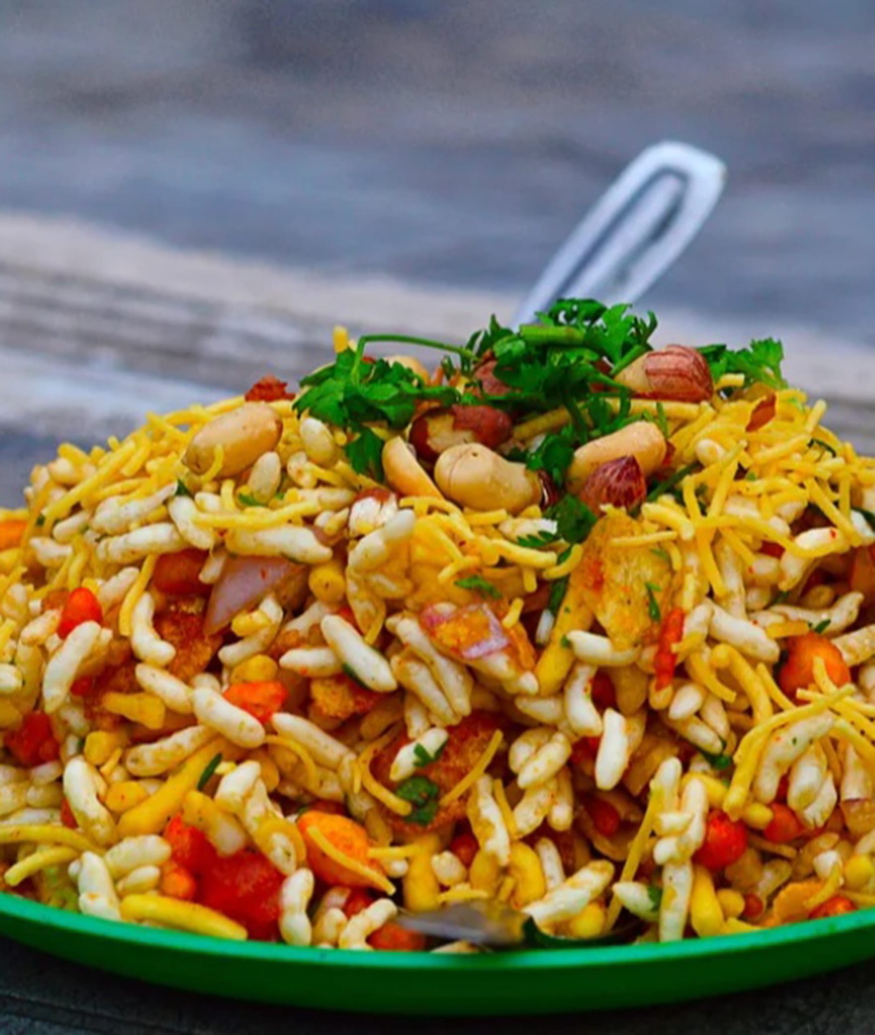 sahyadri bhel - Logo
