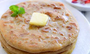 Saini Food - Logo