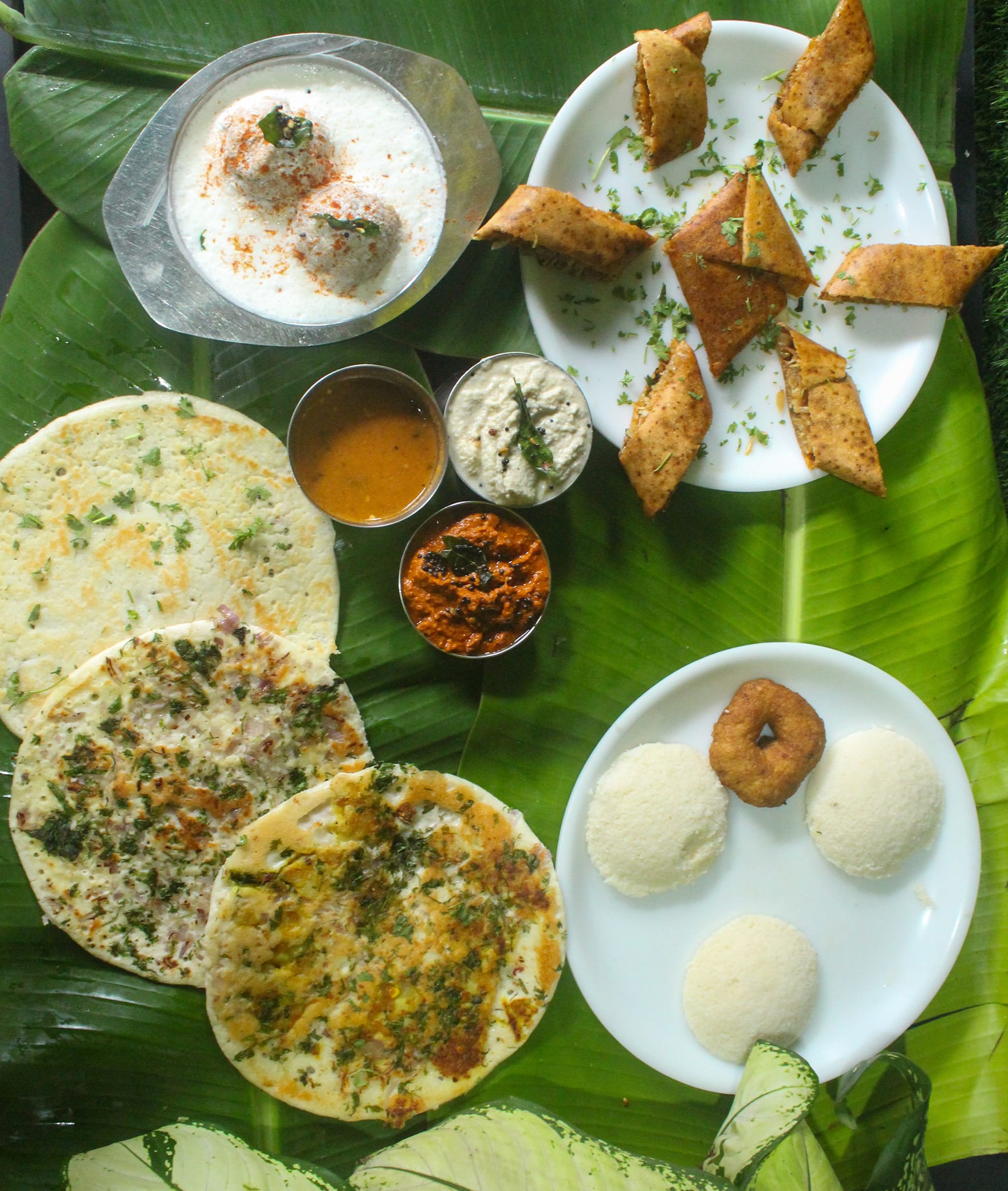 Sai Gopi Pure Veg - Logo