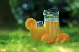 Sai Kripa Juice And Shake Center - Logo