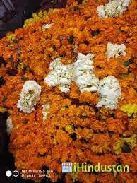 Saini Flower - Logo