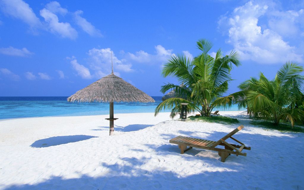 Saini Travel - Logo
