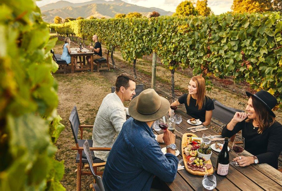 Saint Clair Estate Vineyard Kitchen - Logo