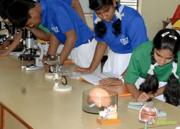 Saint Thomas English Medium School - Logo