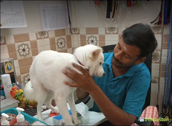 SAI PET CLINIC - Logo