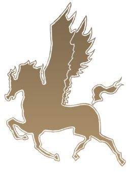 Sajjad Syed - Pegasus Mortgages - Logo