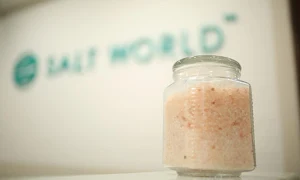 Salt World - Logo