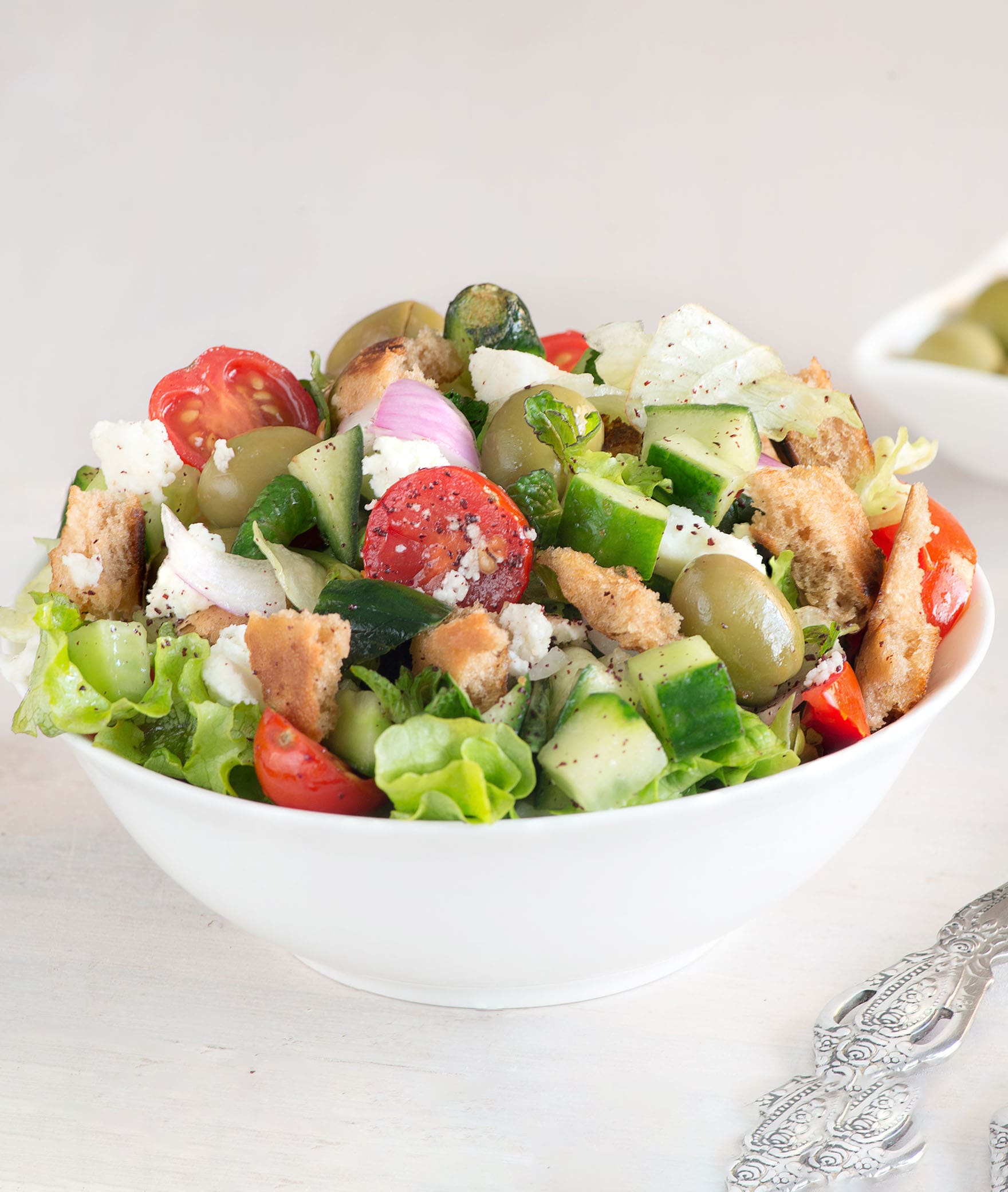 Salad Fusion - Logo