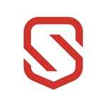 Saleem Group - Logo