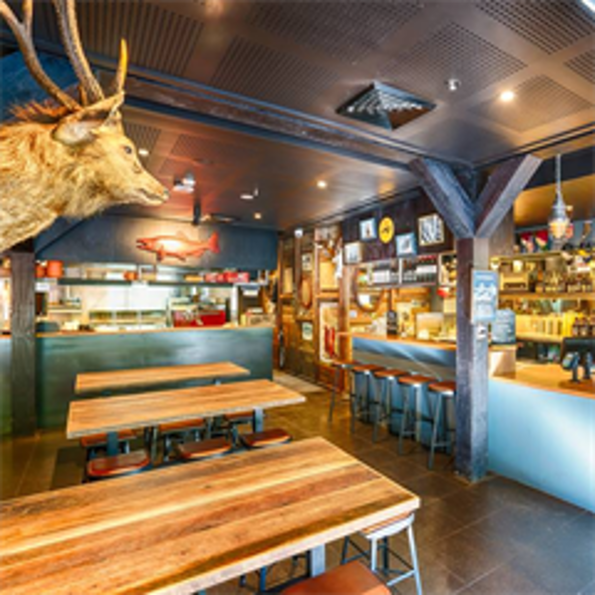 Salmon and Bear Newtown - Logo