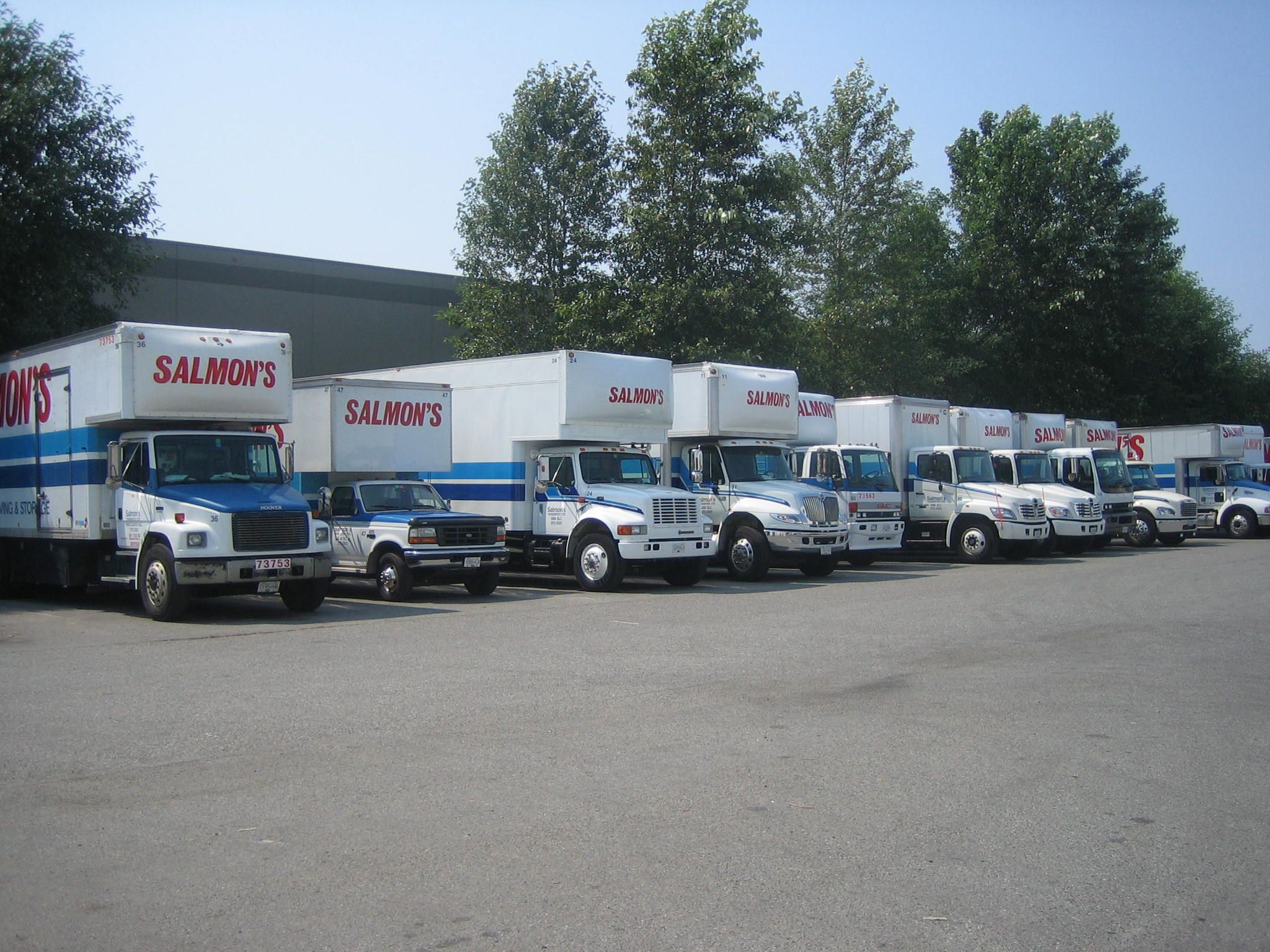 Salmons Transfer Limited - Logo