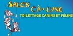 Salon Câ-Lyne - Logo