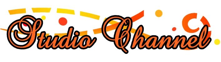 Salon de Coiffure Studio Channel - Logo