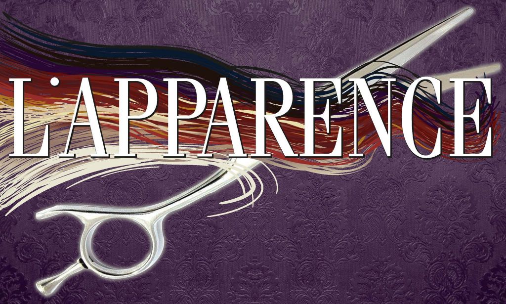 Salon De Coiffure Lapparence Hair Salon - Logo