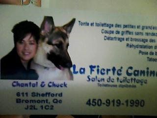 Salon De Toilettage La Fierte Canine - Logo