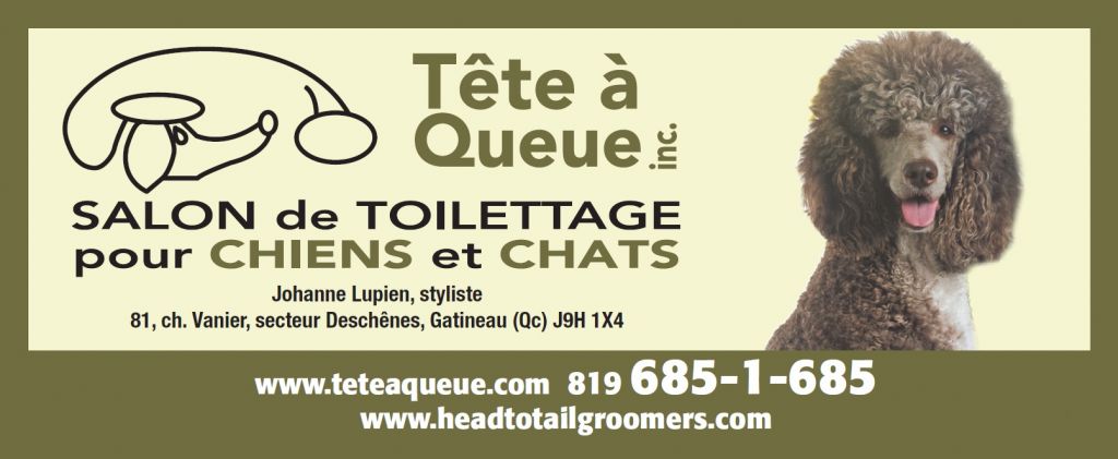 Salon de Toilettage Tête à Queue - Logo
