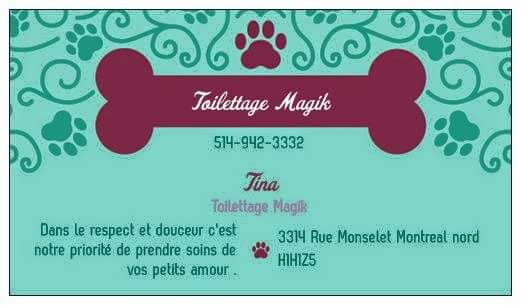 Salon De Toilettage Magik - Logo